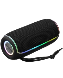 Купить Портативная колонка Aceline APS200, черный в E-mobi