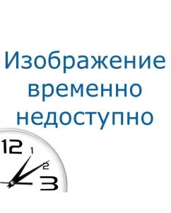 Купить Пароочиститель Bort BDR-1500-RR белый  в E-mobi