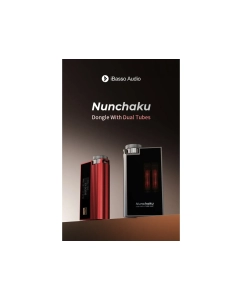 Купить iBasso Nunchaku  в E-mobi