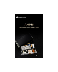 Купить iBasso AMP16  в E-mobi