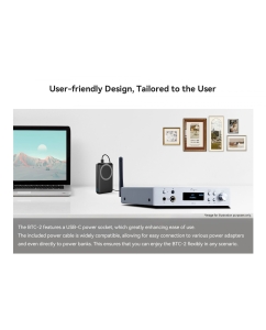 Купить Cayin BTC-2  в E-mobi