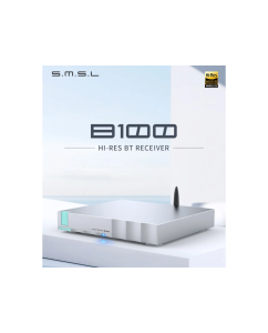 Купить SMSL B100  в E-mobi