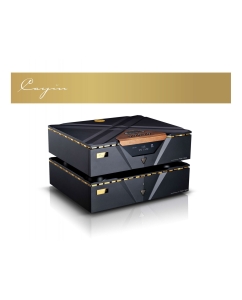 Купить Cayin Pearl 30d  в E-mobi