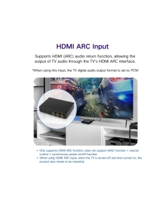 Купить SMSL PS100  в E-mobi