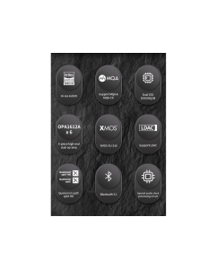 Купить SMSL RAW-MDA1  в E-mobi