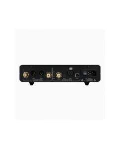 Купить Musician Draco R2R  в E-mobi