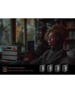 Купить Burson Audio Soloist GT4  в E-mobi