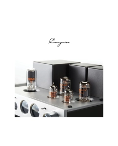 Купить Cayin HA-2A  в E-mobi