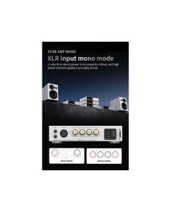 Купить SMSL PA200  в E-mobi