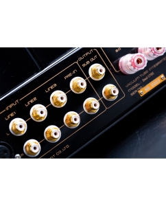 Купить Cayin Soul 170i  в E-mobi