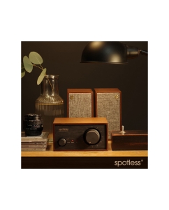 Купить Spotless Audio D1  в E-mobi
