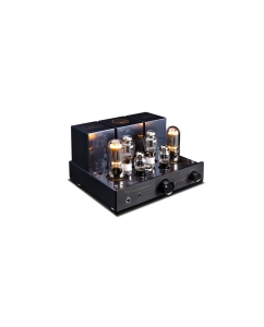 Купить Cayin CS-805A  в E-mobi