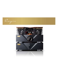 Купить Cayin Pearl 30i  в E-mobi