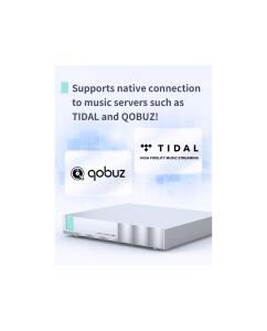 Купить SMSL N100  в E-mobi