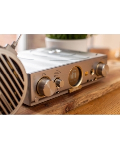 Купить iFi PRO iDSD Signature  в E-mobi