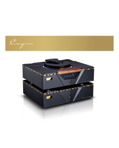 Купить Cayin Pearl 30c  в E-mobi