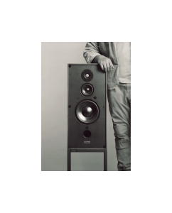 Купить Spotless Audio Eternal 8.3 (2023)  в E-mobi