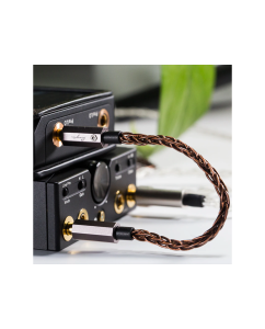 Купить Cayin CS-35C35  в E-mobi