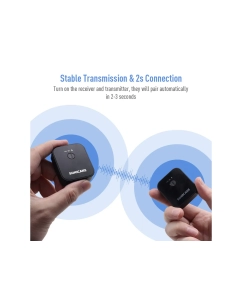 Купить Sonicake 2.4G Wireless System QWS-10  в E-mobi