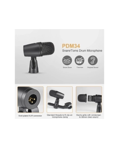 Купить Phenyx Pro PTD-10  в E-mobi