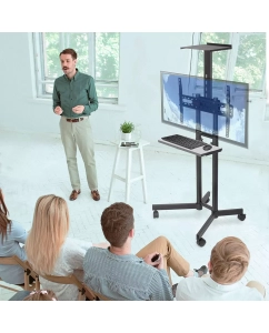 Купить Мобильная стойка для телевизоров Arm Media PT-STAND-8 32"-80" до 50 кг  в E-mobi