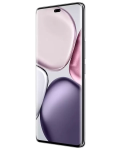 Купить Смартфон Honor X9C 12/256GB Титановый черный  в E-mobi