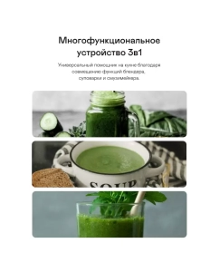 Купить Блендер GARLYN SM-3000 черный  в E-mobi