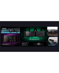 Купить Shanling SMT1.3  в E-mobi