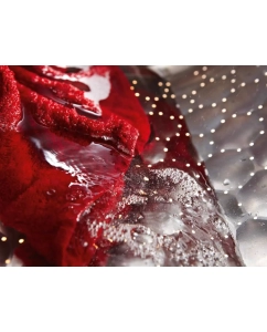 Купить Стиральная машина Miele WTD 160 WCS белый  в E-mobi