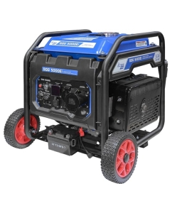 Купить Инверторный бензогенератор ТСС SGG 5000Ei 060040  в E-mobi