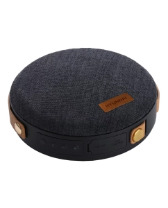 Купить Портативная колонка HYUNDAI H-PAC500 Black в E-mobi