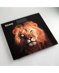 Купить Весы напольные Яромир ЯР-4206