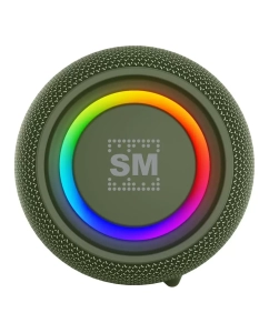 Купить Портативная колонка Soundmax SM-PS5026B Green  в E-mobi