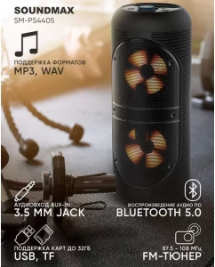 Купить Акустика напольная SOUNDMAX SM-PS4405 (черный) в E-mobi