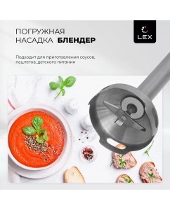 Купить Погружной блендер LEX LX-10011-3 Black  в E-mobi