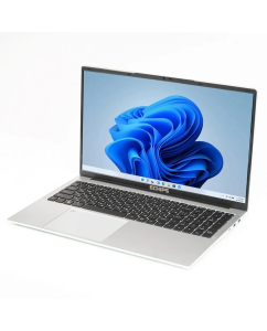 Купить Ноутбук ECHIPS NR173G-RH Taganay 17.3"(1920x1080 IPS (матовый))/Intel Celeron N5095(2Ghz)/16384Mb/512SSDGb/noDVD/Int:Intel UHD Graphics/Cam/BT/WiFi  в E-mobi