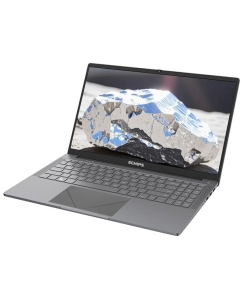Купить Ноутбук ECHIPS Argentum (NR156G) 15.6"(1920x1080 IPS (матовый))/Intel N-series N95(1.7Ghz)/16384Mb/512SSDGb/noDVD/Int:Intel UHD Graphics  в E-mobi