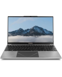 Купить Ноутбук ECHIPS Taganay (NB156D) 15.6